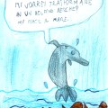 Un delfino