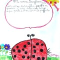 Una coccinella