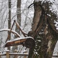 Albero della bicicletta Sitran&nbsp;1